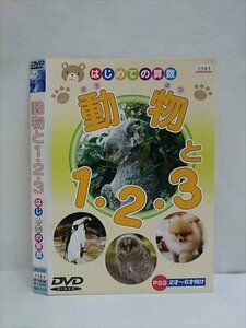 ○010516 レンタルUP●DVD はじめての算数 動物と1・2・3 2383 ※ケース無