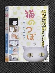 ○007284 レンタルUP■DVD 猫のつぼ みゅーぽーのひみつ 0003 ※ケース無