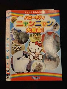 ○012543 レンタルUP・DVD サンリオおもしろ図鑑 ハローキティ ニャンニャン大集合！ 1302 ※ケース無