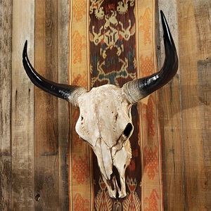  cow. head cover . Skull Western manner objet d'art ornament peeling made ornament . wall deco wall decoration .. carving image wall equipment ornament miscellaneous goods long horn hunting Trophy small articles 