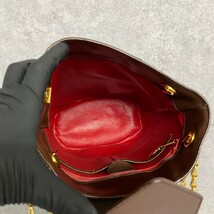 1円 極美品 保存袋付き CELINE セリーヌ サークルロゴ 金具 レザー 本革 バニティバッグ チェーン ショルダーバッグ ブラウン 29328_画像8