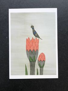 【南桂子のPostcard】　花と鳥