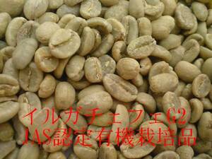 生豆 エチオピア産 イルガチェフェ G2 有機JAS 1kg 他銘柄もいろいろあり 　　　　　　　　　　　　　　　