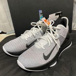 ナイキレブロンウィットネスNIKE LEBRON WITNESS ⅣEP 28