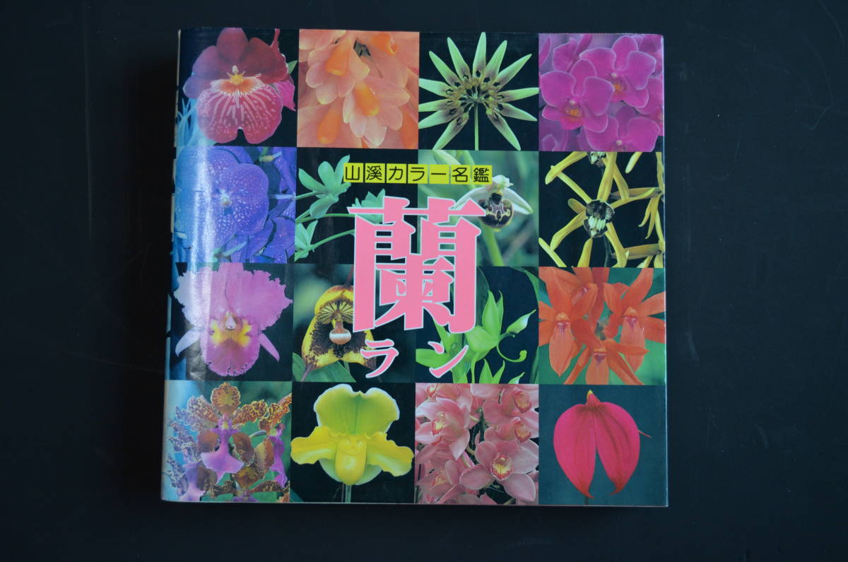みはここの】 ヤフオク! - 大型本「蘭の王国 ブラジル大紀行」 洋ラン