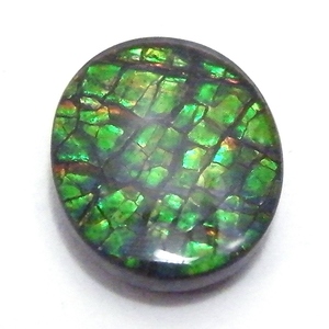 送料無料★≪超希少品≫天然石 アンモライト トリプレット ルース 10x12mm 3.60ct