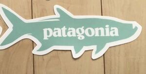  Patagonia стикер форель редкость Green Patagonia sticker