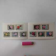 1 中国人民郵政 1979年 中国切手 雲南の椿 10種類 計10枚セット_画像1