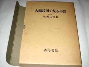 大縮尺図で見る平野 籠瀬良明/著 古今書院