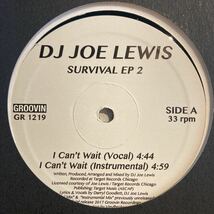 DJ Joe Lewis - Survival EP 2_画像1