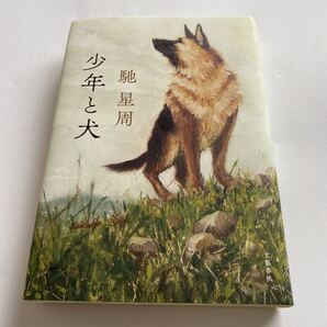 少年と犬 馳星周/著