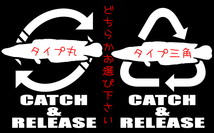 CATCH＆RELEASE 雷魚 ステッカー 検索 雷魚　ライギョ ノイジー ポッパー フロッグ abu ウィップラッシュchiaki_画像2
