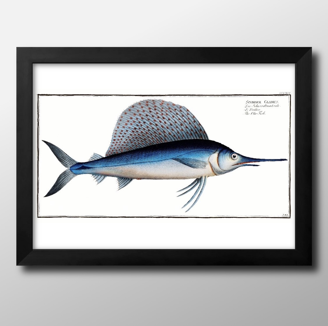 0077■Envío gratis!! Póster A3 Marine Life Nórdico/Coreano/pintura/ilustración/mate, Alojamiento, interior, otros