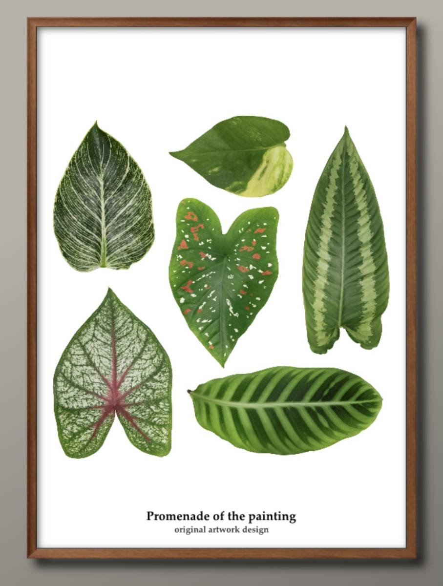 1-7722■免费送货！ A3海报叶植物植物花卉斯堪的纳维亚/韩国/绘画/插画/哑光/本店限定, 住宅, 内部的, 其他的