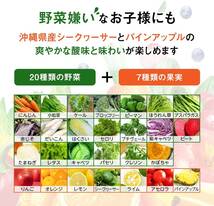 195ミリリットル (x 24) カゴメ 野菜生活１００ 沖縄シークヮーサーミックス195ml ×24本_画像2