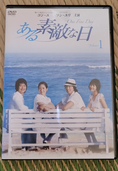 ある素敵な日 DVD