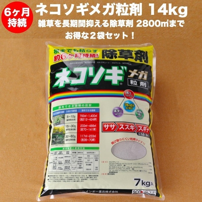 ススキを】 ◇レインボー薬品 ネコソギトップW 5kg 容量:5kg コーナンeショップPayPayモール店 - 通販 - PayPayモール やしたくな - shineray.com.br ススキを】 ◇レインボー薬品 ネコソギトップW 5kg 容量:5kg コーナンeショップPayPayモール店 - 通販 - PayPayモール やしたくな - shineray.com.br