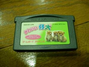 [N]GBA soft lovely . dog 