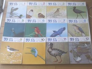 【野鳥/昭和５６年１～１２月号揃い（通巻４１２～４２３号）】日本野鳥の会