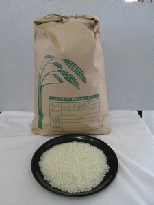 4ha104) 令和3年岐阜県産 お米 ハツシモ 白米 10kg 送料込み