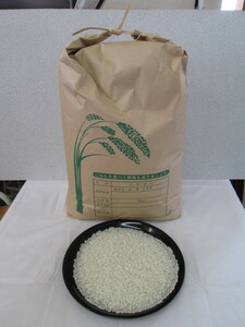 4ko118 令和3年岐阜県産 お米 白米 こしひかり 10kg 送料込み