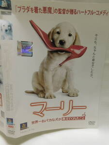 DVD)☆マリー 世界一おバカな犬が教えてくれたこと レンタル落ち USED