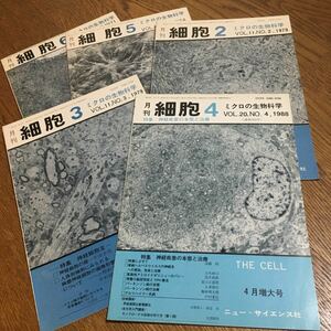 古雑誌☆月刊 細胞 THE CELL 1971〜1988 不揃い5冊セット☆ニュースサイエンス社