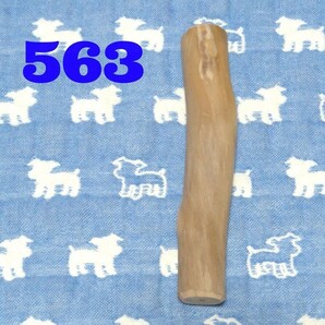 563.犬のおもちゃ、歯固め、かじり木、あまがみ対策、梨の木、小さめ中型犬向き