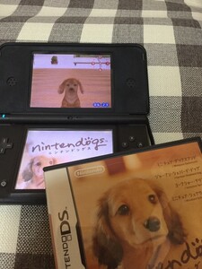 DSソフト【nintendogs】