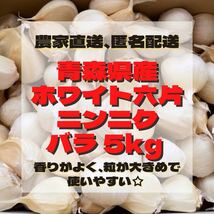 新物 令和4年度 青森県産 ホワイト六片 ニンニク にんにく 大きめ バラ 5kg_画像1