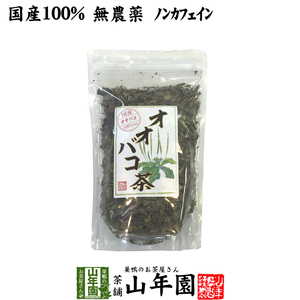 健康茶 オオバコ茶 100g 国産100% 無農薬 ノンカフェイン 宮崎県産 送料無料