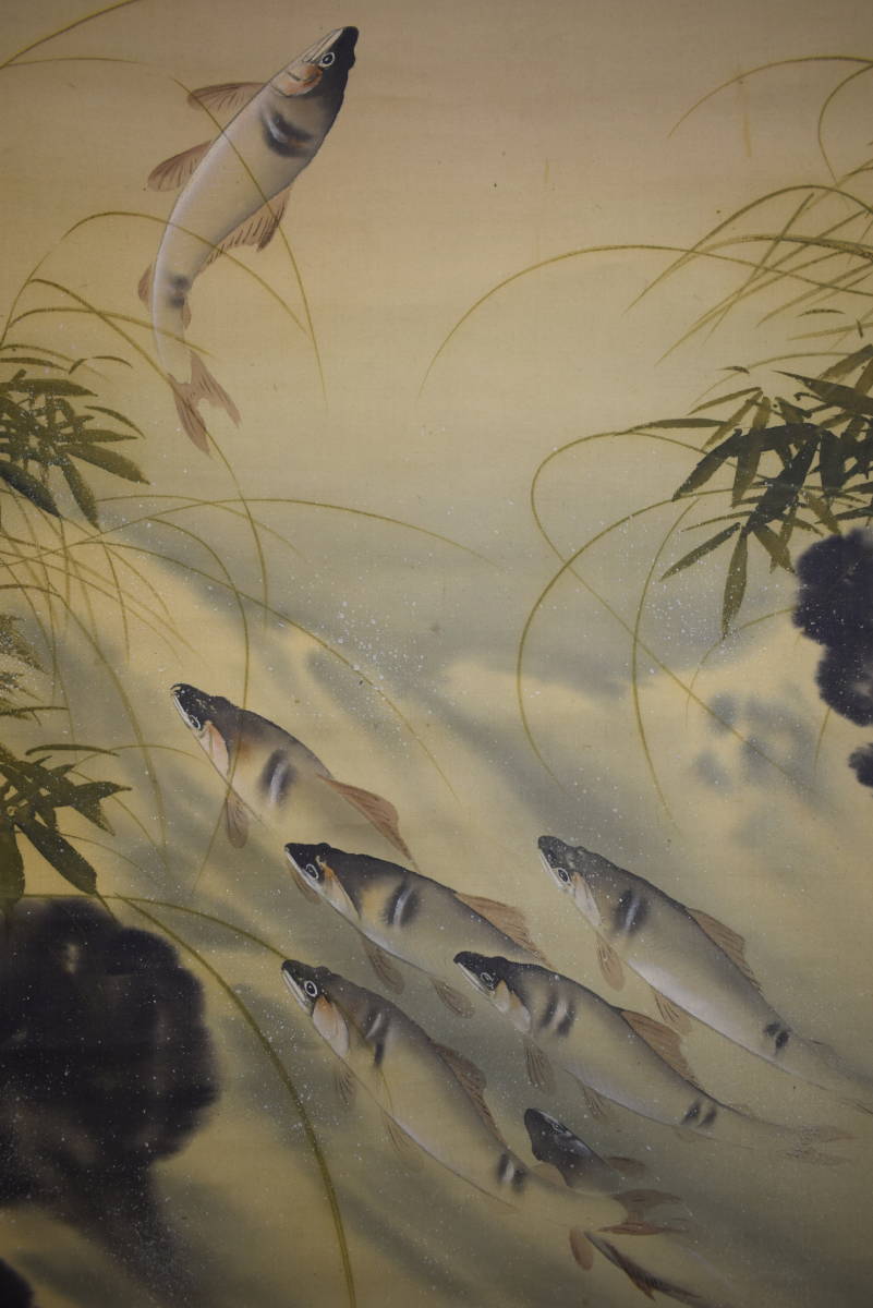 [Authentic] // Autumn Nishiki / Ayu (sweetfish) / Paulownia wood box included / Hotei-ya hanging scroll HJ-178, Painting, Japanese painting, Flowers and Birds, Wildlife