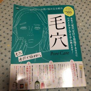 30代からのお肌のお悩み完全解決　毛穴 LDK 