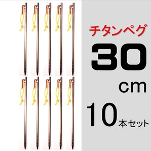 【送料無料】チタンペグ 30cm 10本セット
