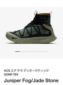 ナイキ エア テラ アンタークティック 27.5cm GORE-TEX NIKE ACG AIR TERRA ANTARKTIK US9.5 BEAMS購入 新品 未使用 送料無料 匿名配送 