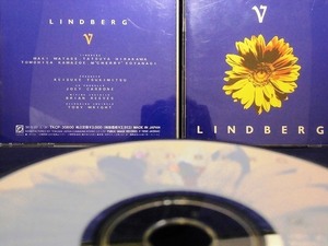 33_00833 LINDBERG リンドバーグ V