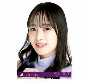 【72】乃木坂46 生写真 1枚　向井葉月　ヨリ　公式グッズ　CD封入特典　Actually... 制服　初回仕様限定盤　タイプB 限定品