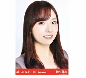 【502】乃木坂46 公式グッズ 生写真 1枚　新内眞衣　ヨリ　パーティードレス　乃木坂46 2021.December