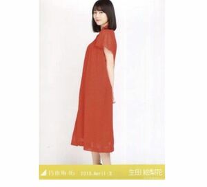 【437】乃木坂46 公式グッズ 生写真 1枚　生田絵梨花　ドット　ヒキ　乃木坂46 2018.April-II 会場限定