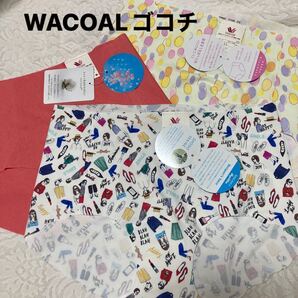 WACOALゴコチショーツLL3枚