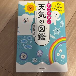 すごすぎる天気の図鑑 空のふしぎがすべてわかる! /荒木健太郎