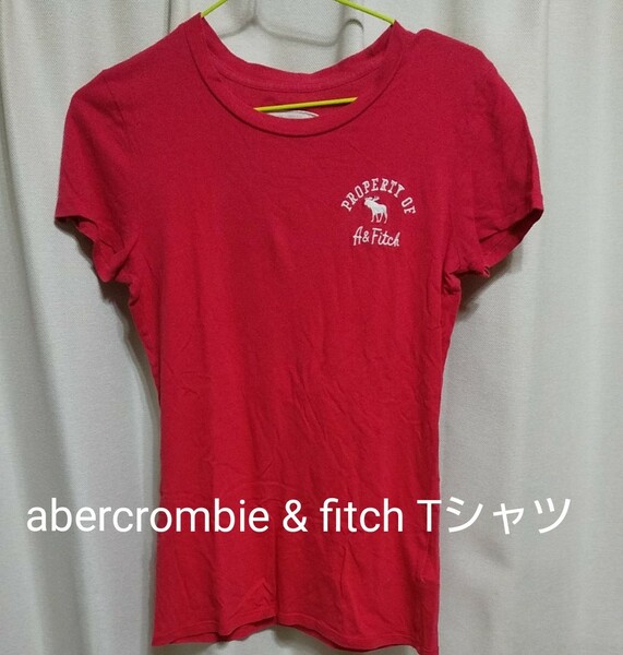 値下げ中！Abercrombie & Fitch Tシャツ サイズM コットン アバクロ