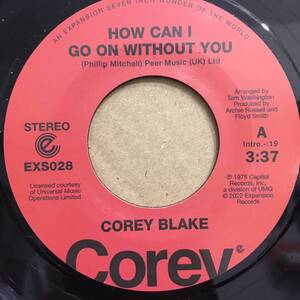 新品 7” Corey Blake - How Can I Go On Without You / Your Love Is Like A Boomerang ★ レコード アナログ 山下達郎 muro kiyo koco