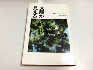 ●P215●太陽が見える●ノダールドゥムバーゼ●喜田美樹●佑学社●1991年1刷●第二次世界大戦ロシア植民地政策抵抗グルジア人●即決