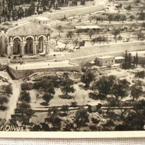 【絵葉書1枚】 JERUSALEM - The Garden of Gethsemane and the Mount of Olives /ORIENTAL COMMERCIAL BUREAU /ヴィンテージ建築 15-618の画像9