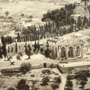 【絵葉書1枚】 JERUSALEM - The Garden of Gethsemane and the Mount of Olives /ORIENTAL COMMERCIAL BUREAU /ヴィンテージ建築 15-618の画像10