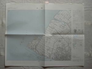 【地図】 八代 1：25,000 平成2年発行/ 熊本 鹿児島本線 吉田工業 大江湖 潮遊沼 大鞘樋門 郡筑 十条製紙 興人 三ツ島 九州 国土地理院