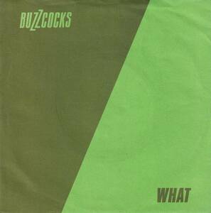 BUZZCOCKS バズコックス「WHAT DO I GET? / OH SHIT」1978年UKオリジナル盤7インチ 70's PUNK / POWER POP / ロンドンナイト クラブヒット