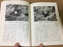 ●P178●ゴリラ探検記●上下巻完結●河合雅雄●霊長類研究動物生態アフリカジャングル野外調査野生●昭和52年1刷●講談社学術文庫●即決_画像6