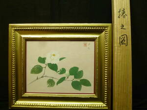 Art hand Auction Autenticidad garantizada Yamamoto Kuragaoka (dibujo camelia) con tablero Pintura japonesa nº 5 Profesor: Shunkyo Yamamoto, Insho Domoto Nitten, concejal, juez Teiten/Artista Nitten, Premio de la Academia de Arte, Escuela de Pintura de Kioto, cuadro, pintura japonesa, flores y pájaros, pájaros y bestias